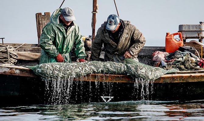 Кабмин в десятки раз увеличил штраф за незаконный вылов рыбы