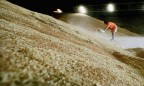 В Украине собрали почти 50 миллионов тонн зерна