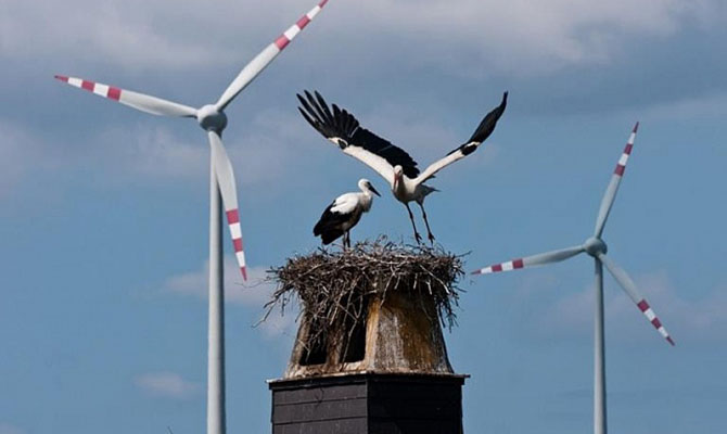 Украина официально готовится к импорту электроэнергии из Беларуси