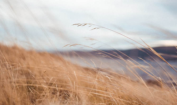 В Украине сегодня почти лето, но очень сильный ветер