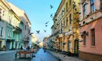 В Черновцах несколько улиц на карантине из-за бешеной белки