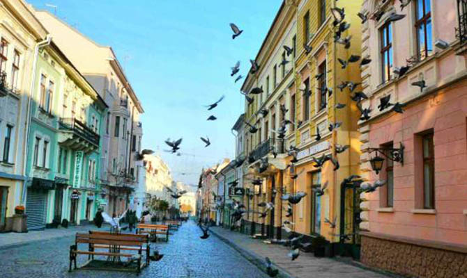 В Черновцах несколько улиц на карантине из-за бешеной белки