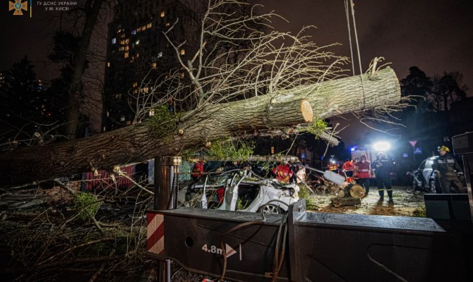 В Киеве в результате падения дерева погиб водитель