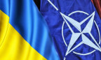 Чернєв: Україна вже влітку може почути чітку відповідь щодо членства в НАТО